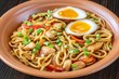 Egg-Chicken-Noodles
